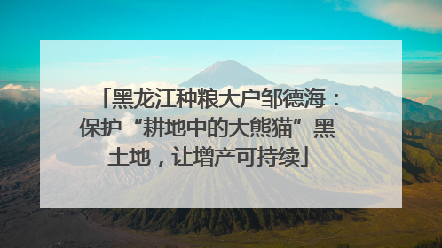 黑龙江种粮大户邹德海：保护“耕地中的大熊猫”黑土地，让增产可持续