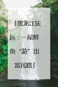 黑龙江抚远：一尾鲜鱼“游”出富民路