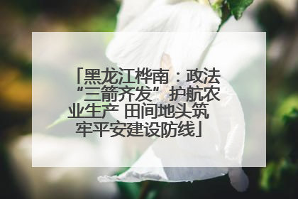 黑龙江桦南：政法“三箭齐发”护航农业生产 田间地头筑牢平安建设防线
