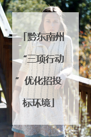 黔东南州“三项行动”优化招投标环境