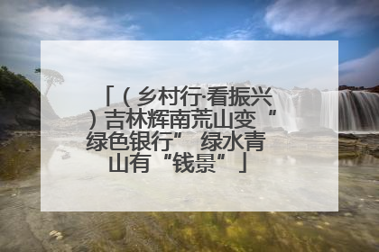 （乡村行·看振兴）吉林辉南荒山变“绿色银行” 绿水青山有“钱景”