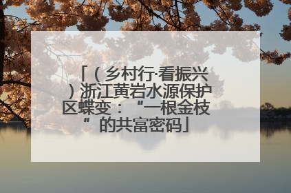 （乡村行·看振兴）浙江黄岩水源保护区蝶变：“一根金枝”的共富密码
