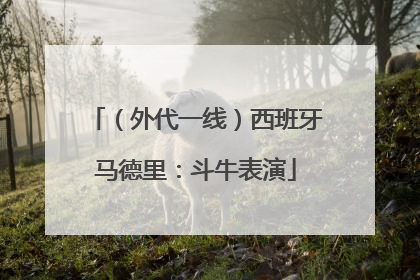 （外代一线）西班牙马德里：斗牛表演