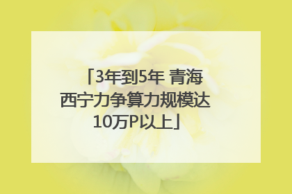 3年到5年 青海西宁力争算力规模达10万P以上