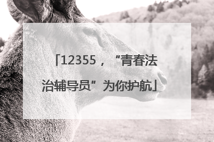 12355，“青春法治辅导员”为你护航