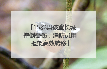15岁男孩登长城摔倒受伤，消防员用担架高效转移
