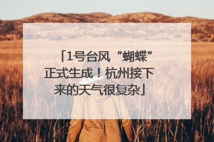 1号台风“蝴蝶”正式生成！杭州接下来的天气很复杂