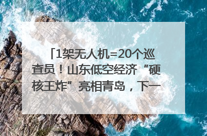 1架无人机=20个巡查员！山东低空经济“硬核王炸”亮相青岛，下一个万亿赛道藏在这里