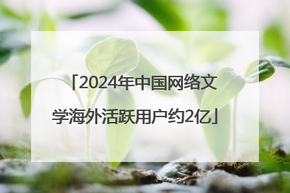 2024年中国网络文学海外活跃用户约2亿