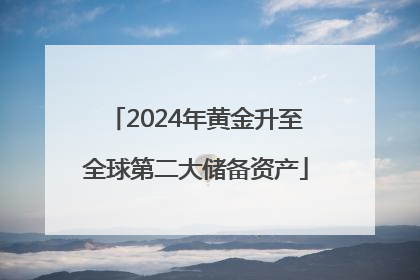 2024年黄金升至全球第二大储备资产