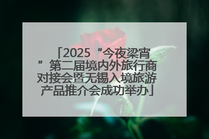 2025“今夜梁宵”第二届境内外旅行商对接会暨无锡入境旅游产品推介会成功举办