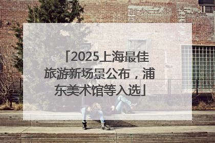 2025上海最佳旅游新场景公布，浦东美术馆等入选