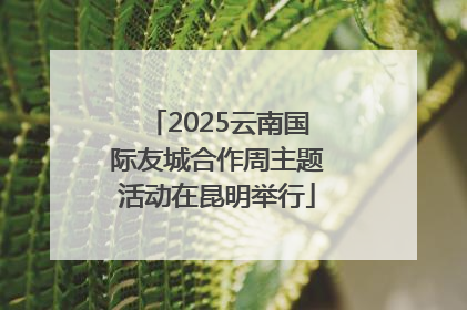 2025云南国际友城合作周主题活动在昆明举行