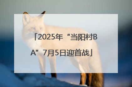 2025年“当阳村BA”7月5日迎首战