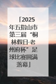 2025年五指山市第三届“桐林假日·老州府杯”足球比赛圆满落幕