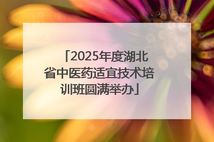 2025年度湖北省中医药适宜技术培训班圆满举办