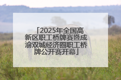 2025年全国高新区职工桥牌赛暨成渝双城经济圈职工桥牌公开赛开幕