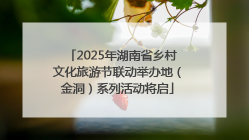 2025年湖南省乡村文化旅游节联动举办地（金洞）系列活动将启