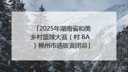 2025年湖南省和美乡村篮球大赛（村 BA）郴州市选拔赛闭幕