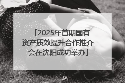 2025年首期国有资产质效提升合作推介会在沈阳成功举办