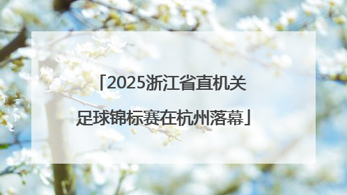 2025浙江省直机关足球锦标赛在杭州落幕