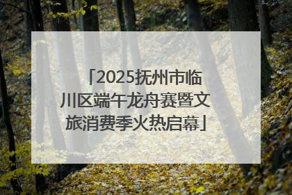 2025抚州市临川区端午龙舟赛暨文旅消费季火热启幕
