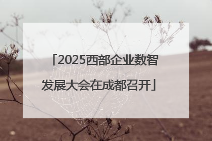 2025西部企业数智发展大会在成都召开