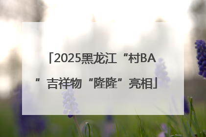 2025黑龙江“村BA”吉祥物“隆隆”亮相