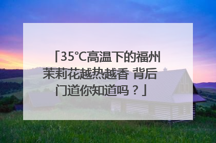 35℃高温下的福州茉莉花越热越香 背后门道你知道吗？