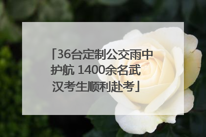 36台定制公交雨中护航 1400余名武汉考生顺利赴考
