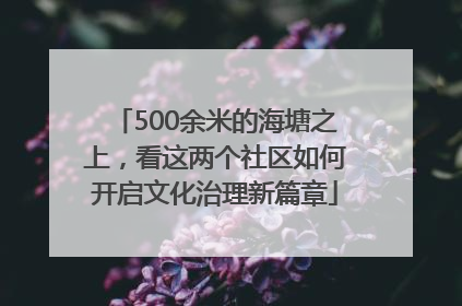 500余米的海塘之上，看这两个社区如何开启文化治理新篇章