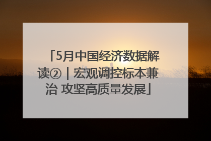 5月中国经济数据解读②｜宏观调控标本兼治 攻坚高质量发展