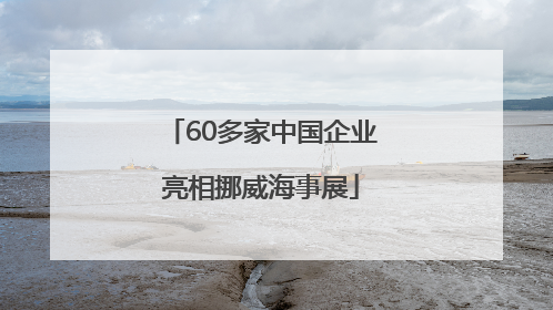 60多家中国企业亮相挪威海事展