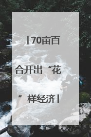 70亩百合开出“花”样经济