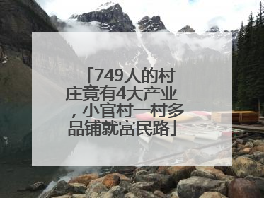 749人的村庄竟有4大产业，小官村一村多品铺就富民路