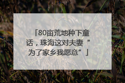 80亩荒地种下童话，珠海这对夫妻“为了家乡我愿意”