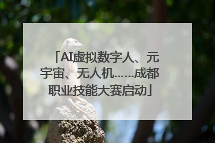 AI虚拟数字人、元宇宙、无人机……成都职业技能大赛启动
