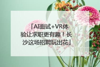 AI面试+VR体验让求职更有趣！长沙这场招聘玩出花