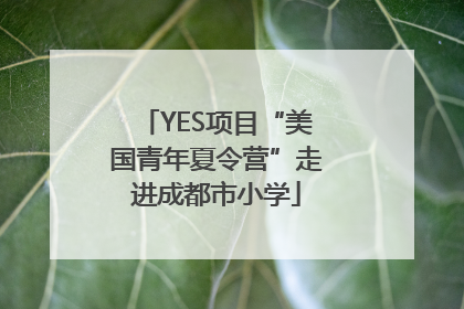 YES项目“美国青年夏令营”走进成都市小学